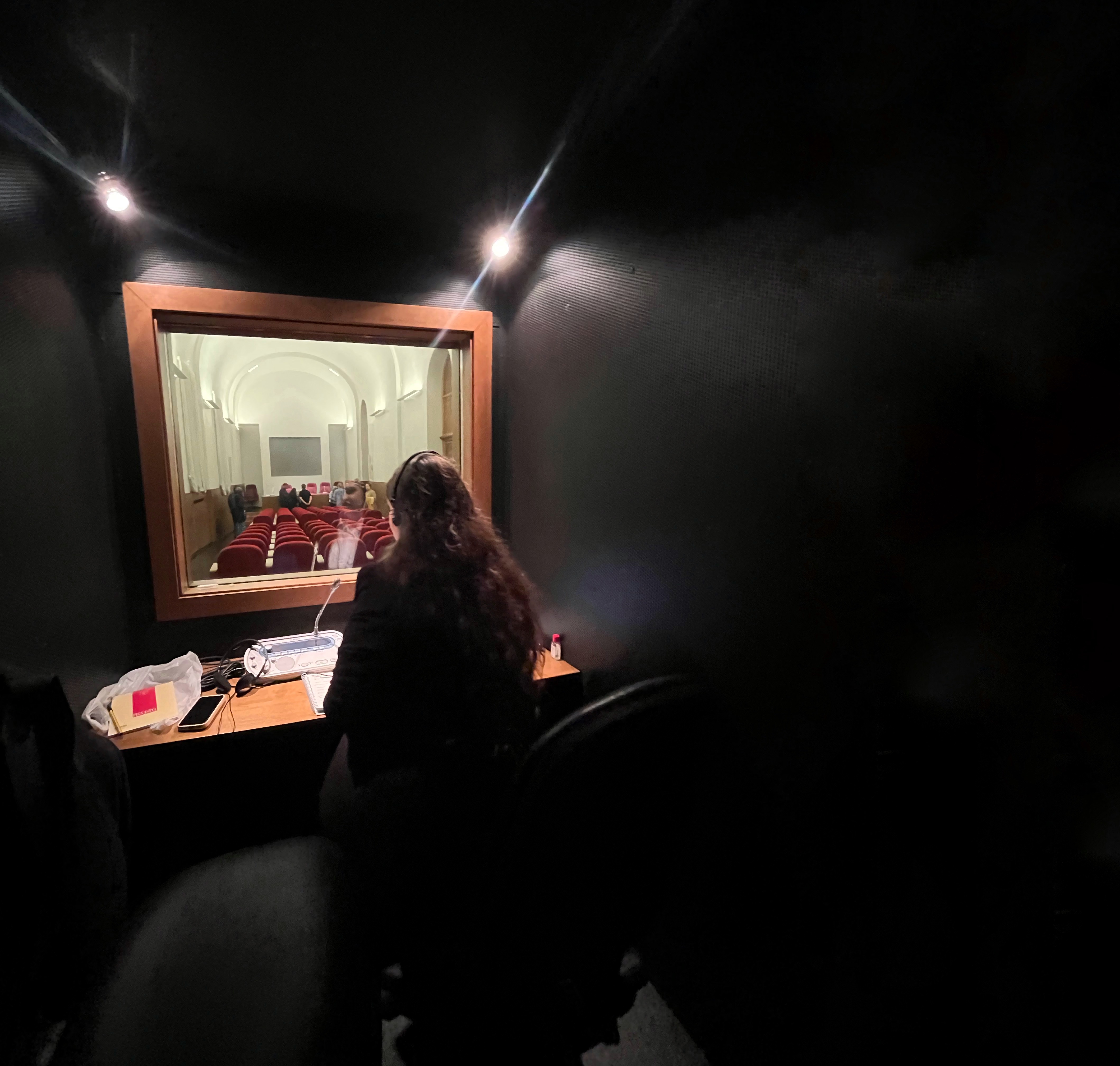 Professional interpreting